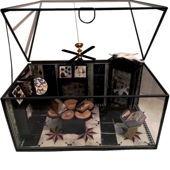 Gabinete de curiosidades | Arte en Miniatura